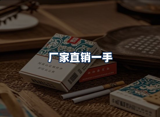 专业团队办公环境